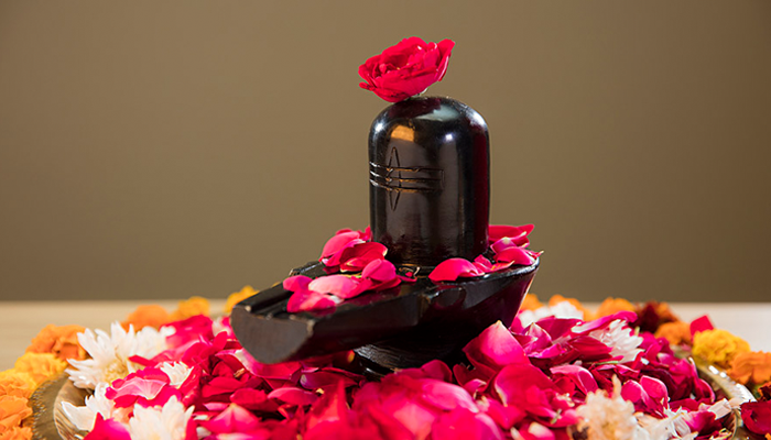 મહાશિવરાત્રિએ રુદ્રાભિષેક: વિધિ, સામગ્રી અને મહત્ત્વ