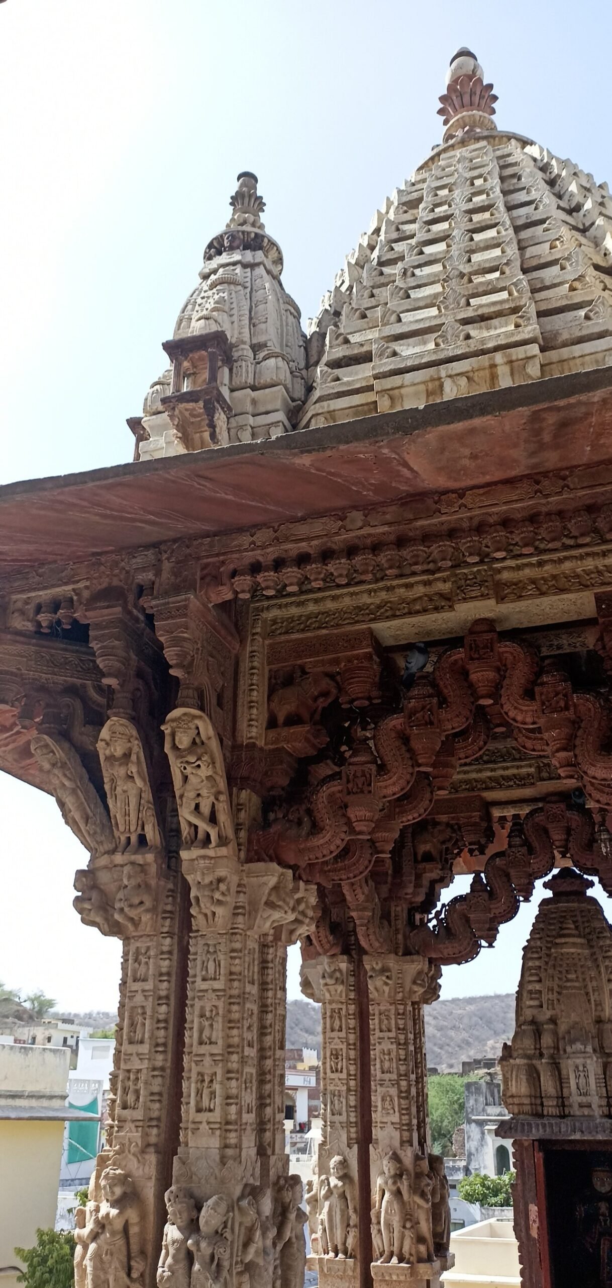 Carved brackets of a temple inside Amer Fort