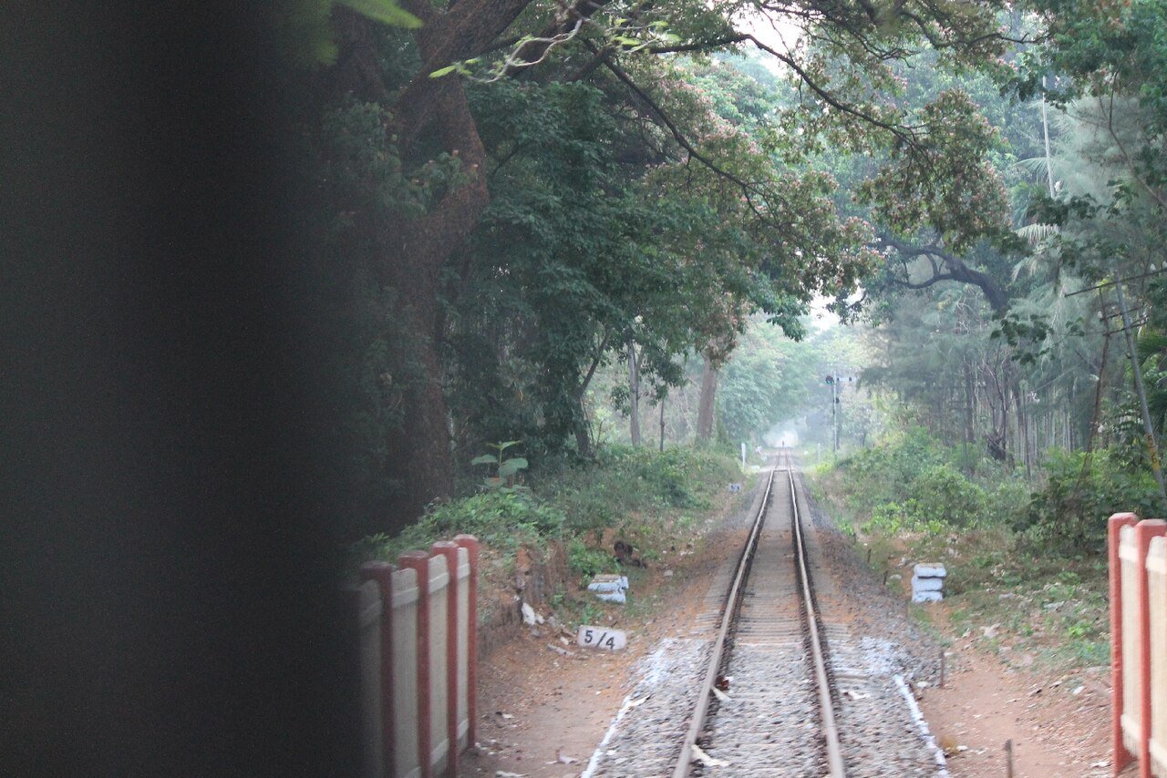 The narrow-gauge line between Mettupalayam and Ooty